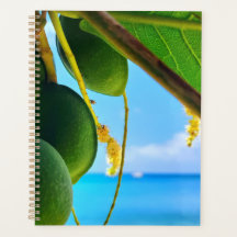 Tropical Beach Vibes Planner | karibisch Inspirier