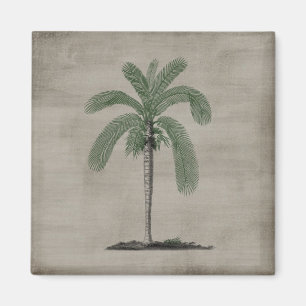 Tropical Beach Vintag Palm Tree Magnet
