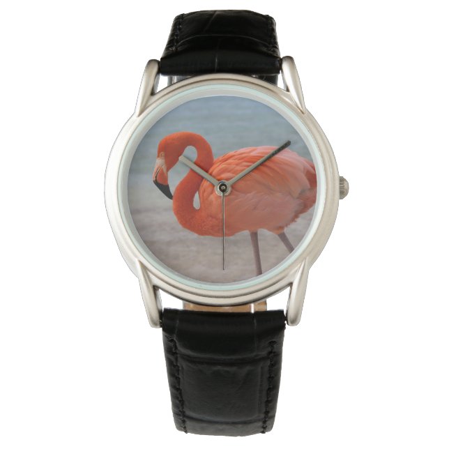 Tropical Beaches | Caribbean Flamingo, Aruba Armbanduhr (Vorderseite)