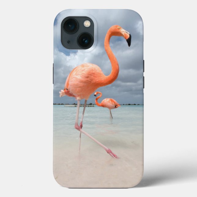 Tropical Beaches | Flamingos Beach, Aruba Case-Mate iPhone Hülle (Rückseite)