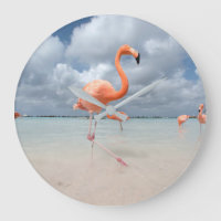 Tropical Beaches | Flamingos Beach, Aruba