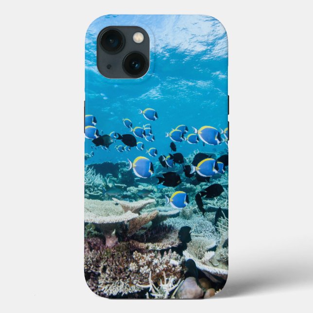 Tropical Beaches | Sturgeon Amongst Coral Case-Mate iPhone Hülle (Rückseite)