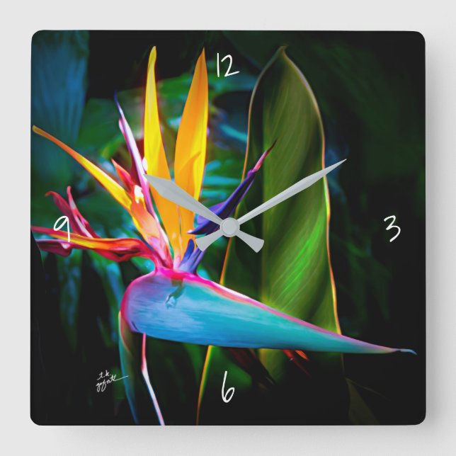 Tropical Bird of Paradies Floral Nature Fine Art Quadratische Wanduhr (Vorderseite)