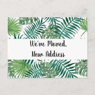 Tropical Black Wir haben neue Adresse verschoben Postkarte