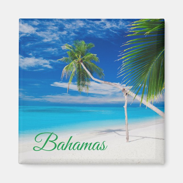 Tropical Blue Exotic Bahamas Beach Palms Magnet (Vorne)