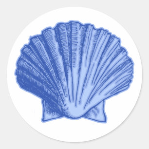 Tropical Blue Seashell Stickers