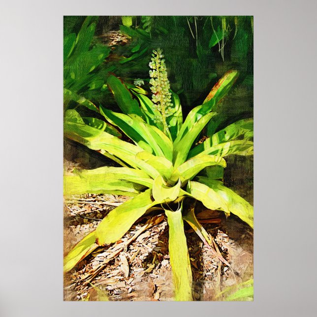 Tropical Bromeliad - Spaziergang im Garten Poster (Vorne)