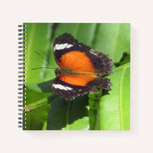 Tropical Butterfly Spiral Notebook Notizbuch