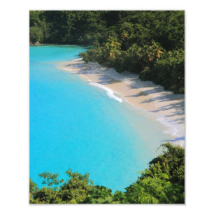 Tropical Caribbean Island Beach Fotodruck