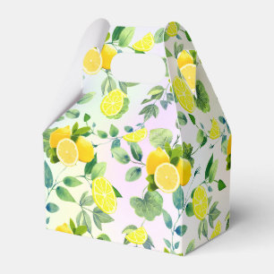 Tropical Citrus Sommer frische Orangenlemon Slice Geschenkschachtel