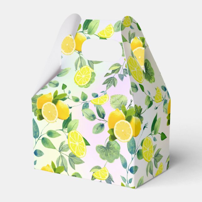 Tropical Citrus Sommer frische Orangenlemon Slice Geschenkschachtel (Vorderseite)