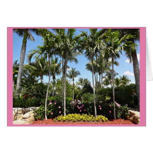 Tropical Coconut Plantation Bonita Springs Floride