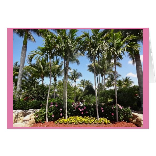 Tropical Coconut Plantation Bonita Springs Floride (Devant horizontal)