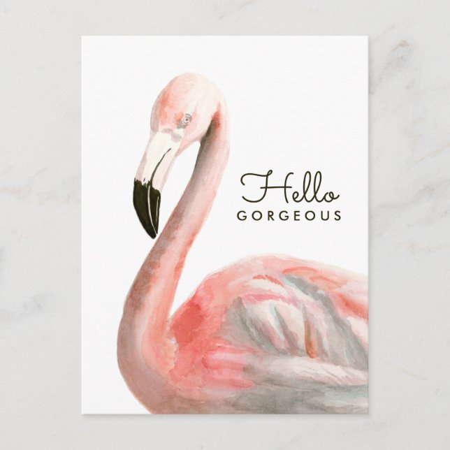 Tropical Flamingo Bird Postkarte (Vorderseite)