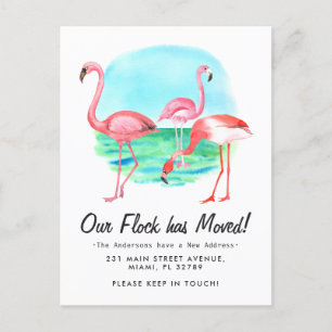 Tropical Flamingo Flock Moved New Address Moving Ankündigungspostkarte