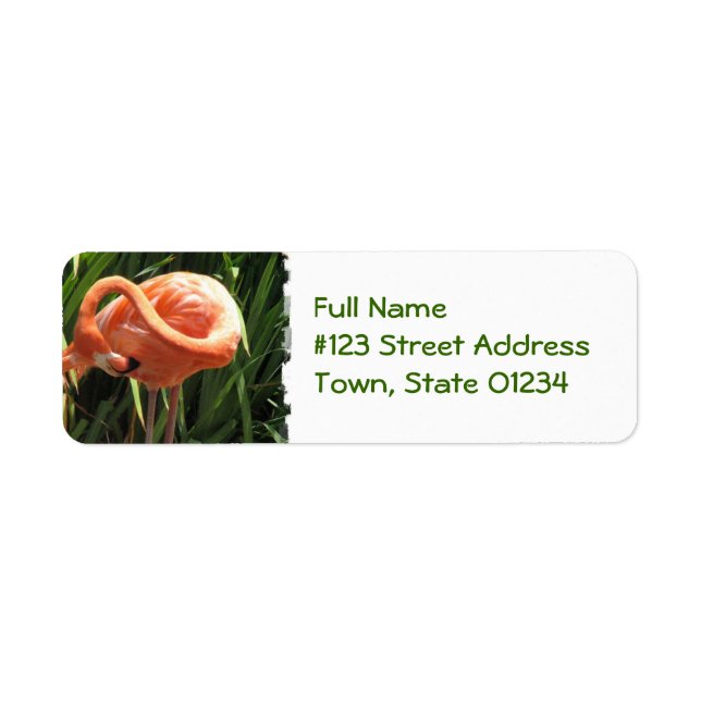 Tropical Flamingo Return Address Label (Vorne)