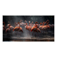Tropical Flamingos