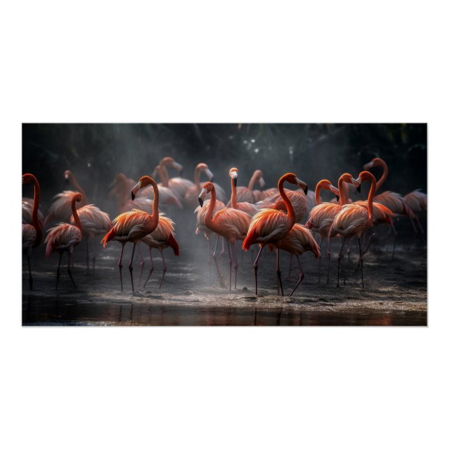 Tropical Flamingos Poster (Vorderseite)