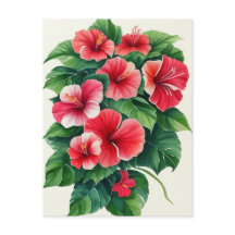 Tropical Flora Light Red Hibiskus