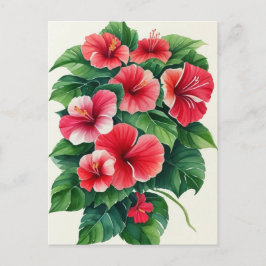 Tropical Flora Light Red Hibiskus Postkarte