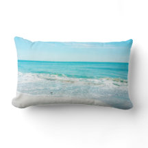 Tropical Florida Beach Sand Ocean Waves Sandpiper