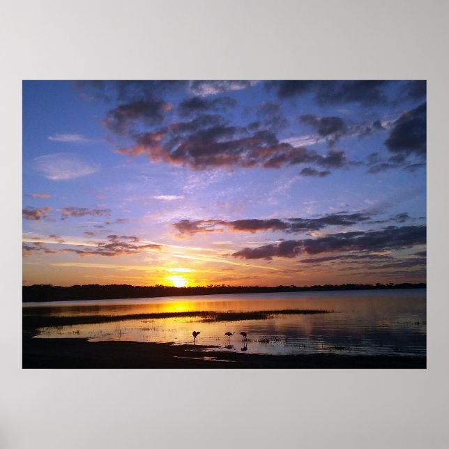 Tropical Florida Sunset Landschaft Poster Foto (Vorne)