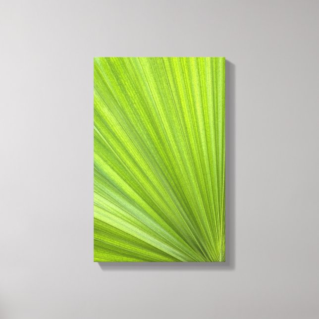 Tropical Green Palm Frond Leinwanddruck (Vorderseite)