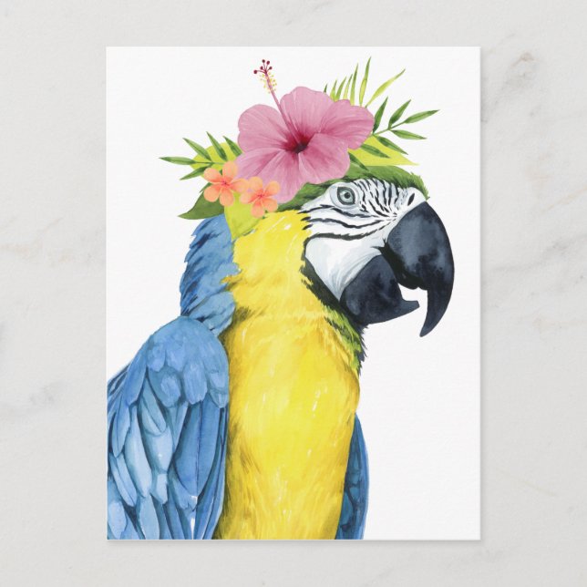Tropical Halo - Papagei Postkarte (Vorderseite)