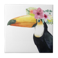 Tropical Halo - Toucan