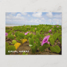 Tropical Hawaii Beach Blume | Kauai Postcard Postkarte
