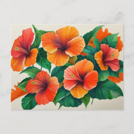 Tropical Hawaii Orange Hibiskus Blume Postkarte