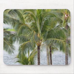 Tropical Hawaii Palm Trees Mousepad