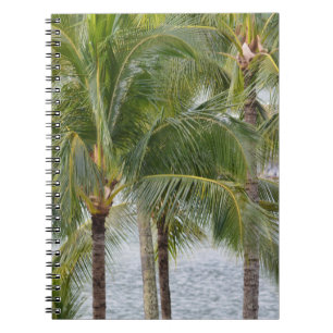 Tropical Hawaii Palm Trees Notizblock