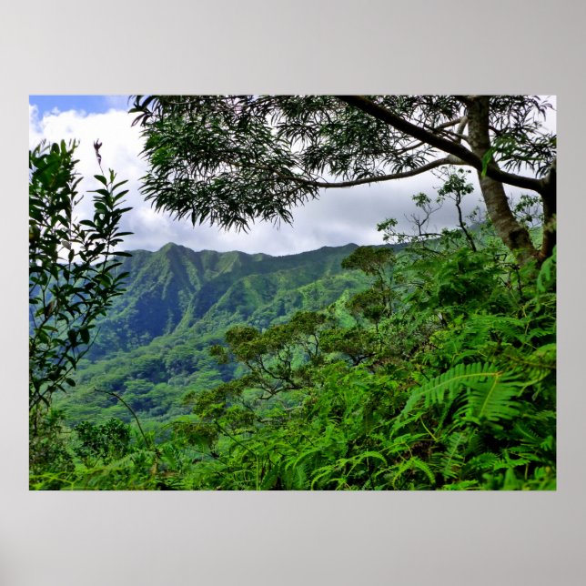 Tropical Hawaii Poster (Vorne)