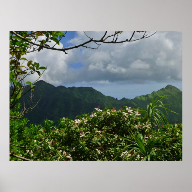 Tropical Hawaii Poster (Vorne)