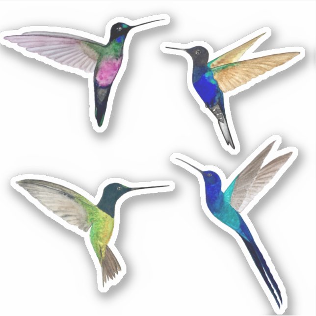 Tropical Hummingbirds Aufkleber (Vorderseite)