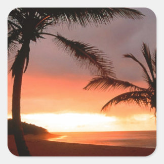 Tropical Island Palms Dominikanische Republik Quadratischer Aufkleber
