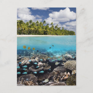 Tropical Lagoon South Ari Atoll Postkarte