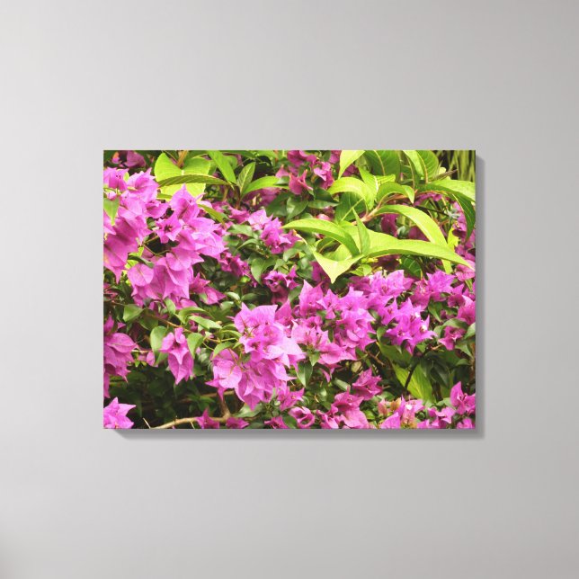 Tropical Lila Bougainvillea Floral Leinwanddruck (Vorderseite)
