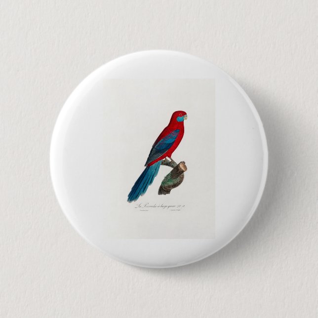 tropical macaw parrot button (Vorderseite)