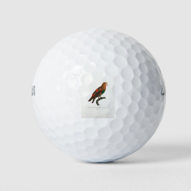 tropical macaw parrot golfball (Vorderseite)