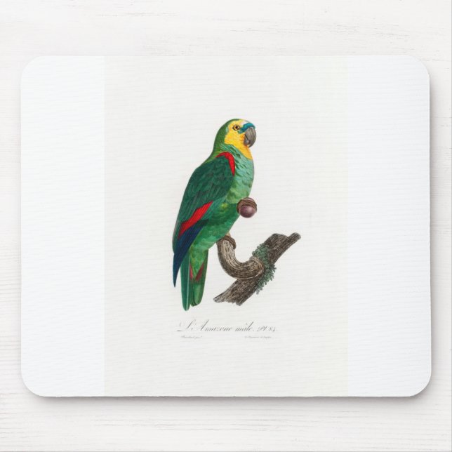 tropical macaw parrot mousepad (Vorne)