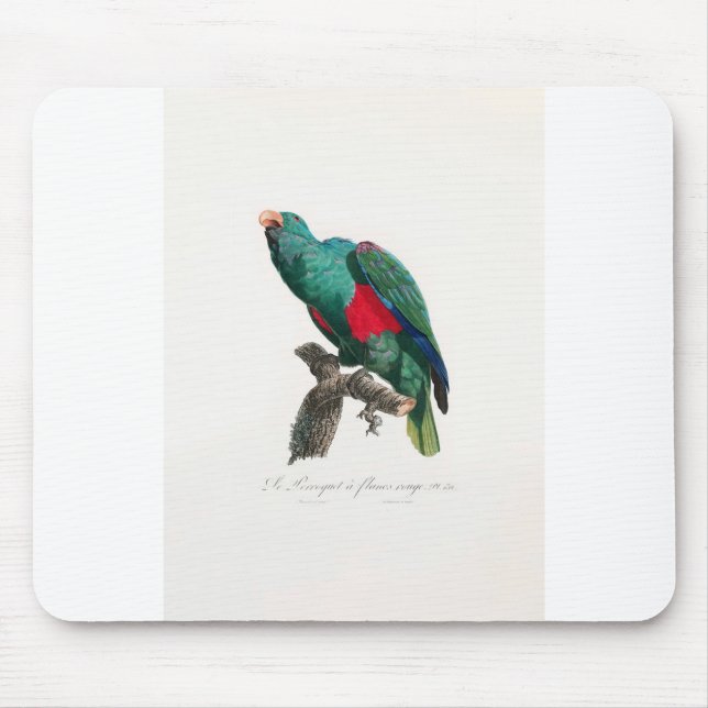 tropical macaw parrot mousepad (Vorne)