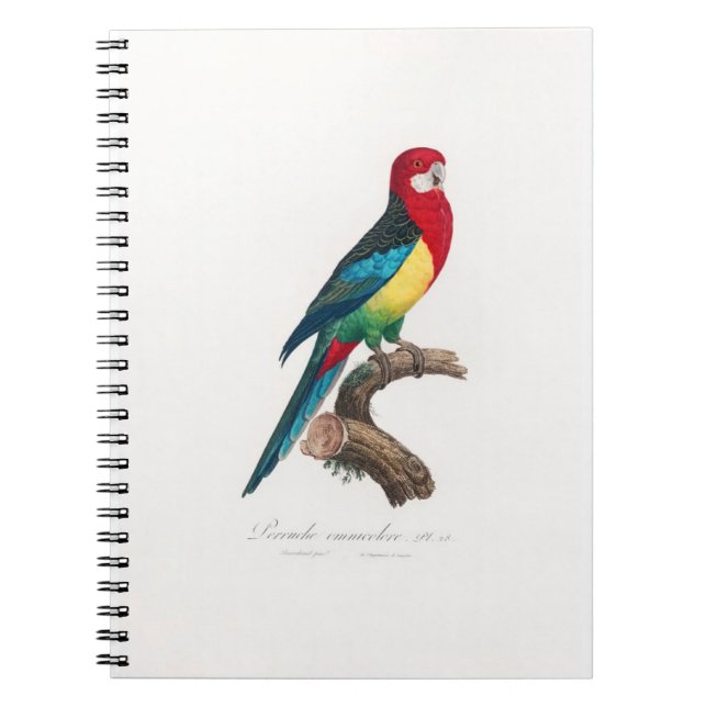 tropical macaw parrot notizblock (Vorderseite)