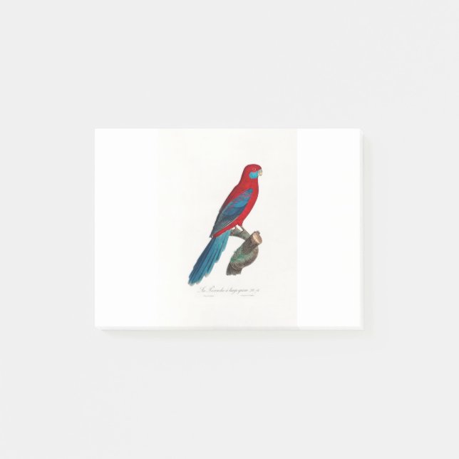 tropical macaw parrot post-it klebezettel (Vorderseite)