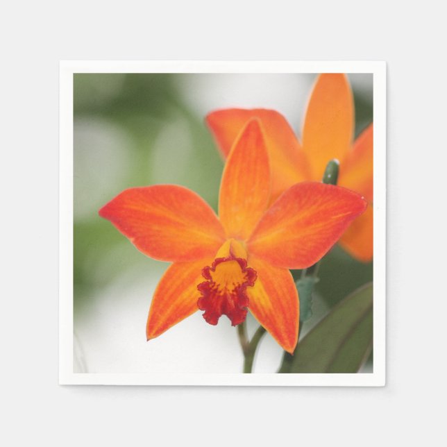 Tropical Orange Orchid Paper Napkin Serviette (Vorderseite)