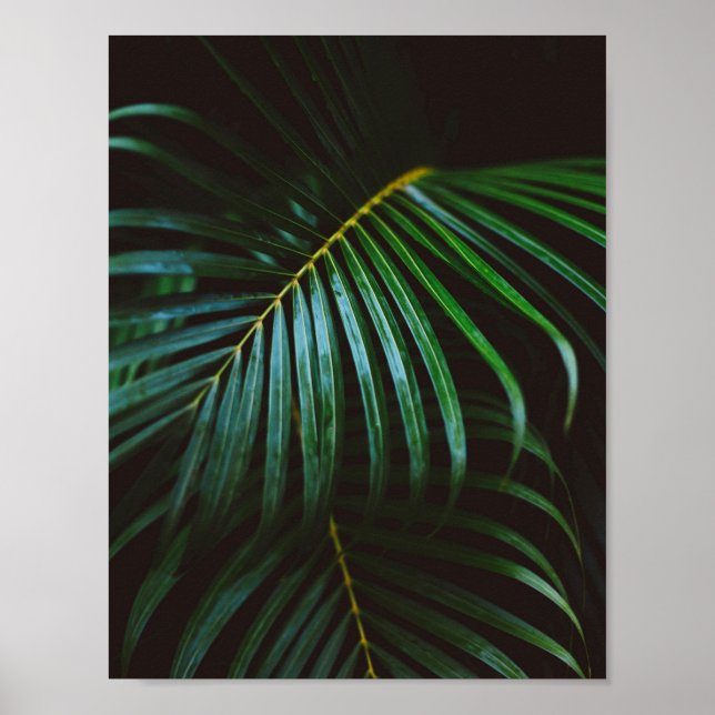 Tropical Palm Leaf Green Relaxing Meditative Poster (Vorne)