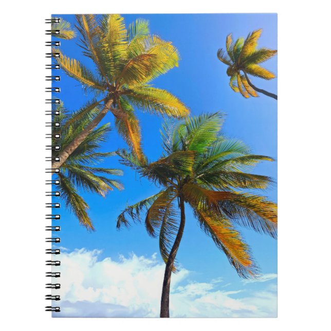 Tropical Palm Notebook - Caribbean Vibes Journal Notizblock (Vorderseite)