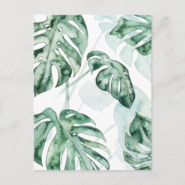 Tropical Palm Split Leaf Postkarte (Vorderseite)