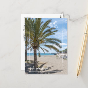 Tropical Palm Tree am Strand von Málaga Postkarte